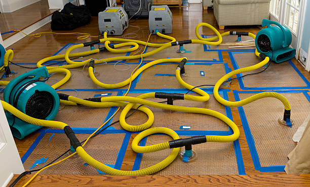 Professional Burst Pipe Water Damage technician working in Woodland, CA
